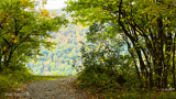 Ontario County Park